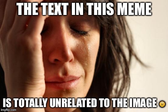 First World Problems Meme | THE TEXT IN THIS MEME IS TOTALLY UNRELATED TO THE IMAGE  | image tagged in memes,first world problems | made w/ Imgflip meme maker
