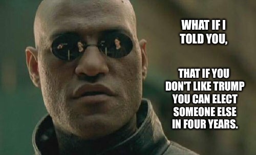 It really is that simple | WHAT IF I TOLD YOU, THAT IF YOU DON'T LIKE TRUMP YOU CAN ELECT SOMEONE ELSE IN FOUR YEARS. | image tagged in memes,matrix morpheus,election 2016 | made w/ Imgflip meme maker