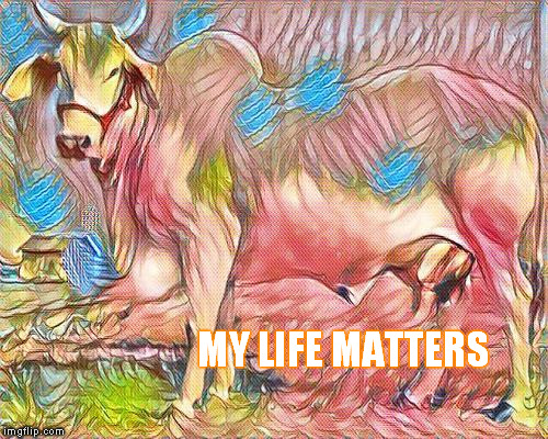 my life | MY LIFE MATTERS | image tagged in life,desire,chance | made w/ Imgflip meme maker