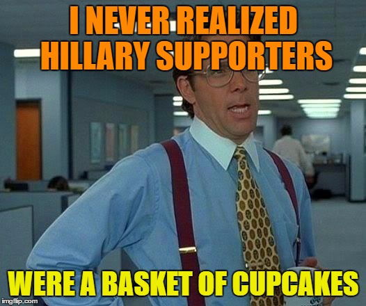 That Would Be Great Meme | I NEVER REALIZED HILLARY SUPPORTERS WERE A BASKET OF CUPCAKES | image tagged in memes,that would be great | made w/ Imgflip meme maker