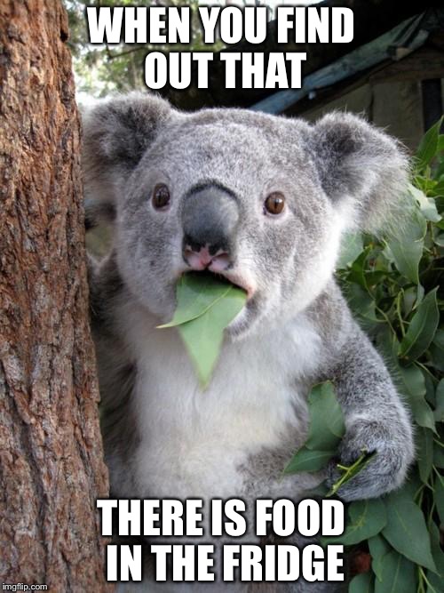 Surprised Koala | WHEN YOU FIND OUT THAT; THERE IS FOOD IN THE FRIDGE | image tagged in memes,surprised koala | made w/ Imgflip meme maker