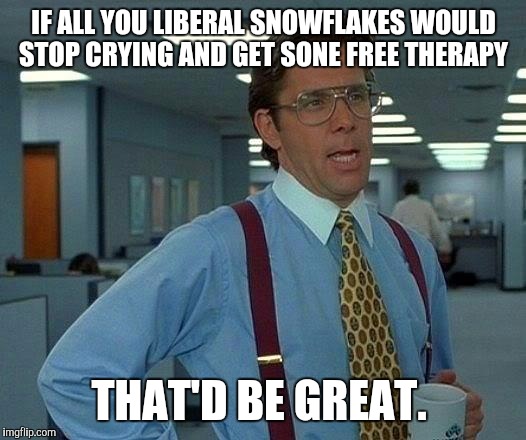 That Would Be Great | IF ALL YOU LIBERAL SNOWFLAKES WOULD STOP CRYING AND GET SONE FREE THERAPY; THAT'D BE GREAT. | image tagged in memes,that would be great | made w/ Imgflip meme maker