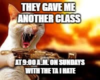 mad cat | THEY GAVE ME ANOTHER CLASS; AT 9:00 A.M. ON SUNDAYS WITH THE TA I HATE | image tagged in cat,kitten,mad,school | made w/ Imgflip meme maker
