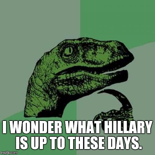 Philosoraptor Meme | I WONDER WHAT HILLARY IS UP TO THESE DAYS. | image tagged in memes,philosoraptor | made w/ Imgflip meme maker