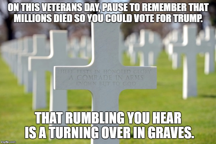 ON THIS VETERANS DAY, PAUSE TO REMEMBER THAT MILLIONS DIED SO YOU COULD VOTE FOR TRUMP. THAT RUMBLING YOU HEAR IS A TURNING OVER IN GRAVES. | image tagged in vets versus trump | made w/ Imgflip meme maker