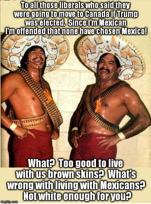 Moving because Trump won?Why not Mexico? | To all those liberals who said they were going to move to Canada if Trump was elected.  Since I’m Mexican I'm offended that none have chosen Mexico! What?  Too good to live with us brown skins?  What’s wrong with living with Mexicans?  Not white enough for you? | image tagged in trump,liberals,moving | made w/ Imgflip meme maker