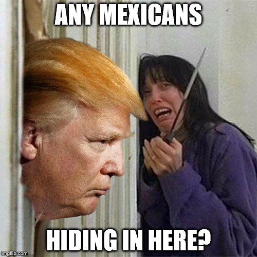 EVER VIGILANT! | ANY MEXICANS; HIDING IN HERE? | image tagged in donald trump here's donny | made w/ Imgflip meme maker