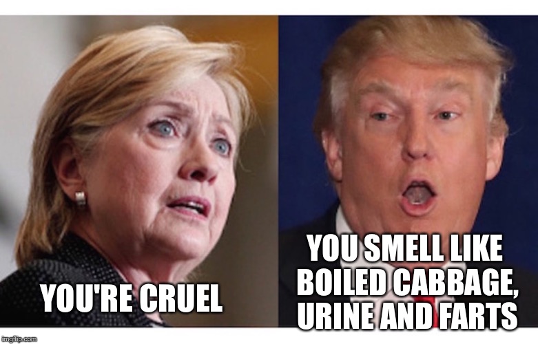 YOU'RE CRUEL YOU SMELL LIKE BOILED CABBAGE, URINE AND FARTS | made w/ Imgflip meme maker