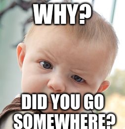 Skeptical Baby Meme | WHY? DID YOU GO SOMEWHERE? | image tagged in memes,skeptical baby | made w/ Imgflip meme maker