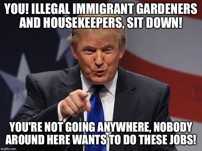 Donald trump | YOU! ILLEGAL IMMIGRANT GARDENERS AND HOUSEKEEPERS, SIT DOWN! YOU'RE NOT GOING ANYWHERE, NOBODY AROUND HERE WANTS TO DO THESE JOBS! | image tagged in donald trump | made w/ Imgflip meme maker