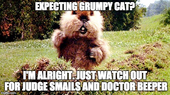 Caddyshack Gopher | EXPECTING GRUMPY CAT? I'M ALRIGHT. JUST WATCH OUT FOR JUDGE SMAILS AND DOCTOR BEEPER | image tagged in caddyshack gopher | made w/ Imgflip meme maker