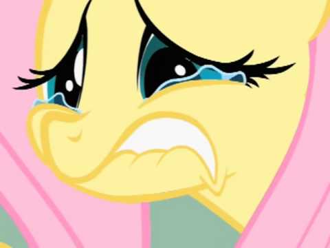 Your Comment Made Fluttershy Cry Blank Meme Template