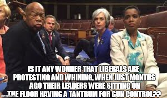 Just like their leaders | IS IT ANY WONDER THAT LIBERALS ARE PROTESTING AND WHINING, WHEN JUST MONTHS  AGO THEIR LEADERS WERE SITTING ON THE FLOOR HAVING A TANTRUM FOR GUN CONTROL?? | image tagged in tantrum,democrats,liberals,protest | made w/ Imgflip meme maker