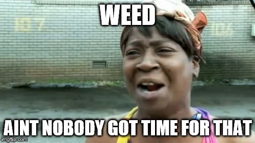 Ain't Nobody Got Time For That Meme | WEED; AINT NOBODY GOT TIME FOR THAT | image tagged in memes,aint nobody got time for that | made w/ Imgflip meme maker