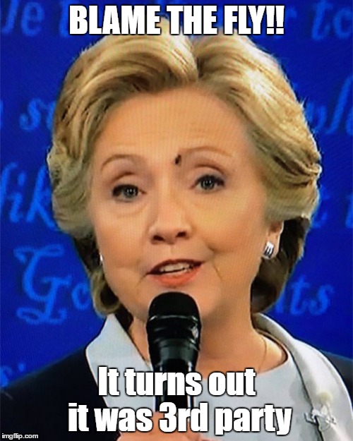 clinton | BLAME THE FLY!! It turns out it was 3rd party | image tagged in on the fly | made w/ Imgflip meme maker