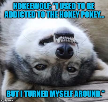 USE A USERNAME IN YOUR MEME! - HOKEEWOLF |  HOKEEWOLF: "I USED TO BE ADDICTED TO THE HOKEY POKEY... BUT I TURNED MYSELF AROUND." | image tagged in memes,use someones username in your meme,use the username weekend,wolf,hokeewolf | made w/ Imgflip meme maker