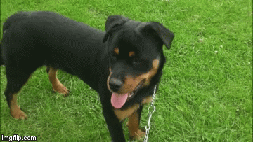 #getskyhome 07498773868 | image tagged in gifs,lost | made w/ Imgflip video-to-gif maker