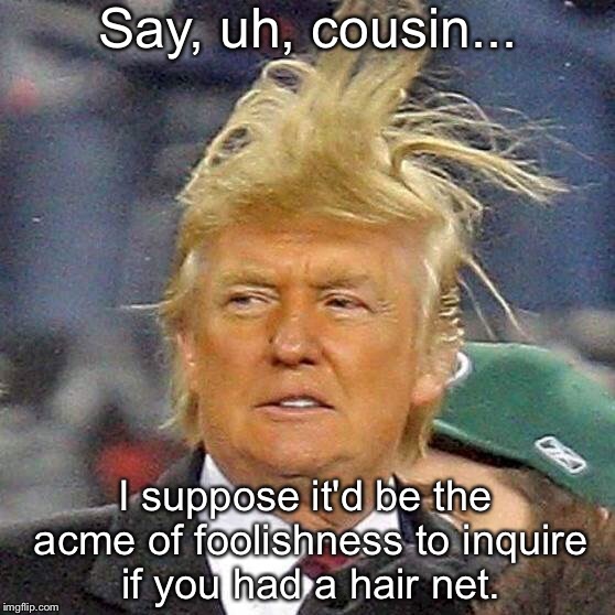 Trump hair  | Say, uh, cousin... I suppose it'd be the acme of foolishness to inquire if you had a hair net. | image tagged in donald trump hair | made w/ Imgflip meme maker