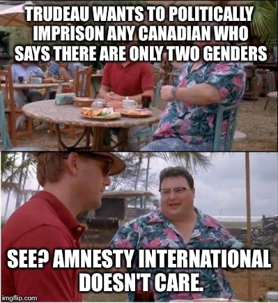 See? Nobody cares | TRUDEAU WANTS TO POLITICALLY IMPRISON ANY CANADIAN WHO SAYS THERE ARE ONLY TWO GENDERS; SEE? AMNESTY INTERNATIONAL DOESN'T CARE. | image tagged in see nobody cares | made w/ Imgflip meme maker