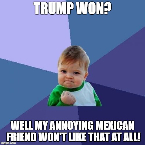 Success Kid | TRUMP WON? WELL MY ANNOYING MEXICAN FRIEND WON'T LIKE THAT AT ALL! | image tagged in memes,success kid | made w/ Imgflip meme maker