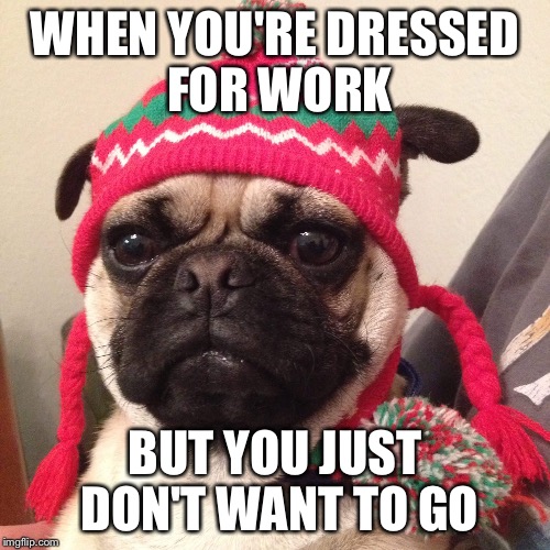 WHEN YOU'RE DRESSED FOR WORK; BUT YOU JUST DON'T WANT TO GO | image tagged in work,pugs | made w/ Imgflip meme maker
