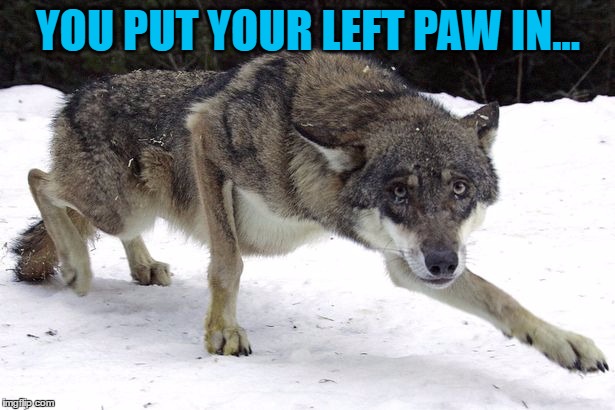 YOU PUT YOUR LEFT PAW IN... | made w/ Imgflip meme maker
