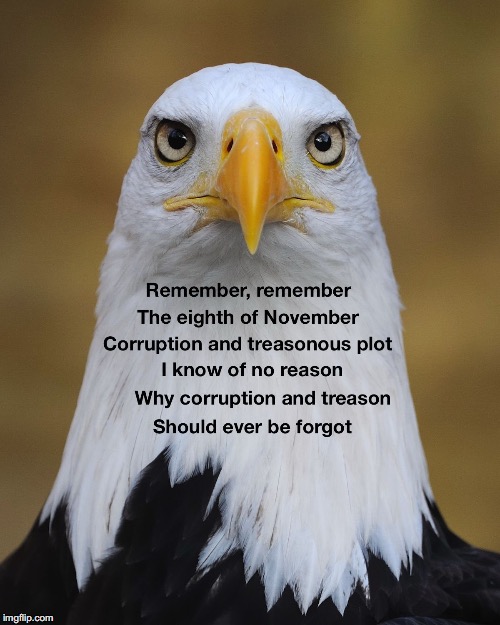 Poem In Commemoration | image tagged in patriotism,coup,election 2016 | made w/ Imgflip meme maker