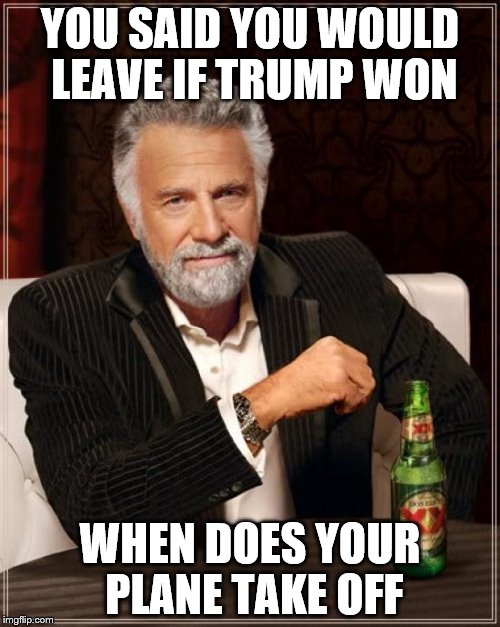 The Most Interesting Man In The World | YOU SAID YOU WOULD LEAVE IF TRUMP WON; WHEN DOES YOUR PLANE TAKE OFF | image tagged in memes,the most interesting man in the world | made w/ Imgflip meme maker