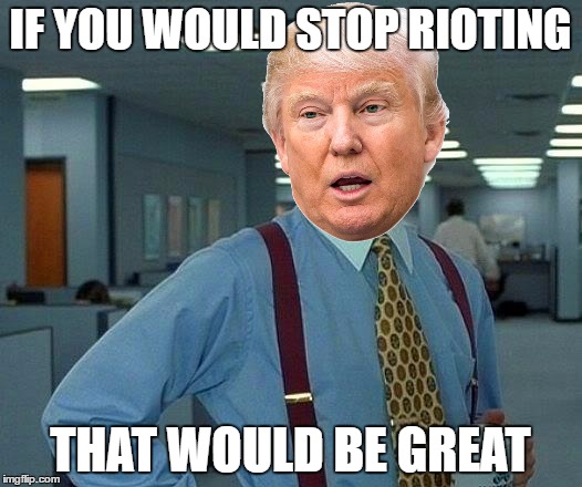 That Would Be Great Meme | IF YOU WOULD STOP RIOTING; THAT WOULD BE GREAT | image tagged in memes,that would be great | made w/ Imgflip meme maker