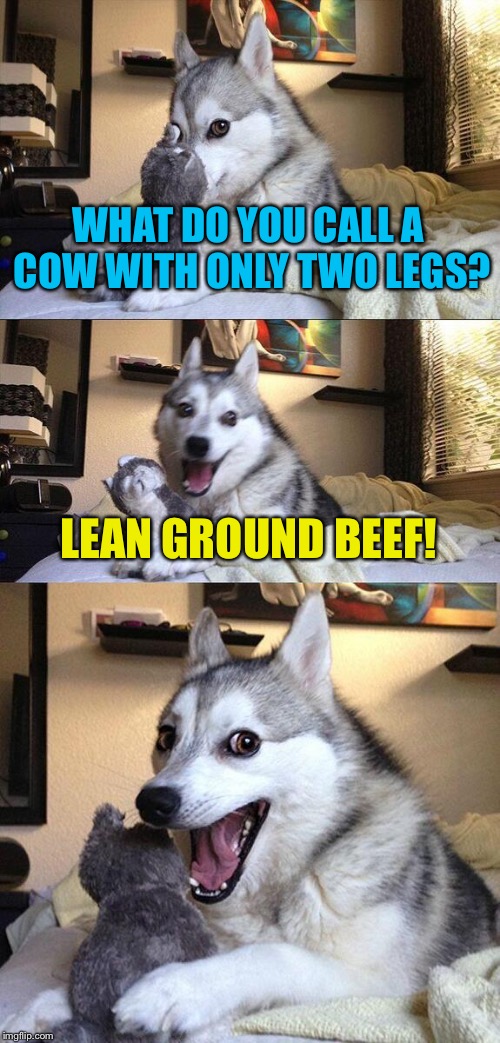 Bad Pun Dog | WHAT DO YOU CALL A COW WITH ONLY TWO LEGS? LEAN GROUND BEEF! | image tagged in memes,bad pun dog | made w/ Imgflip meme maker