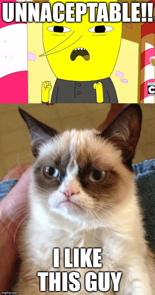 Lemongrab and Grumpy Cat | UNNACEPTABLE!! I LIKE THIS GUY | image tagged in adventure time,grumpy cat,funny | made w/ Imgflip meme maker