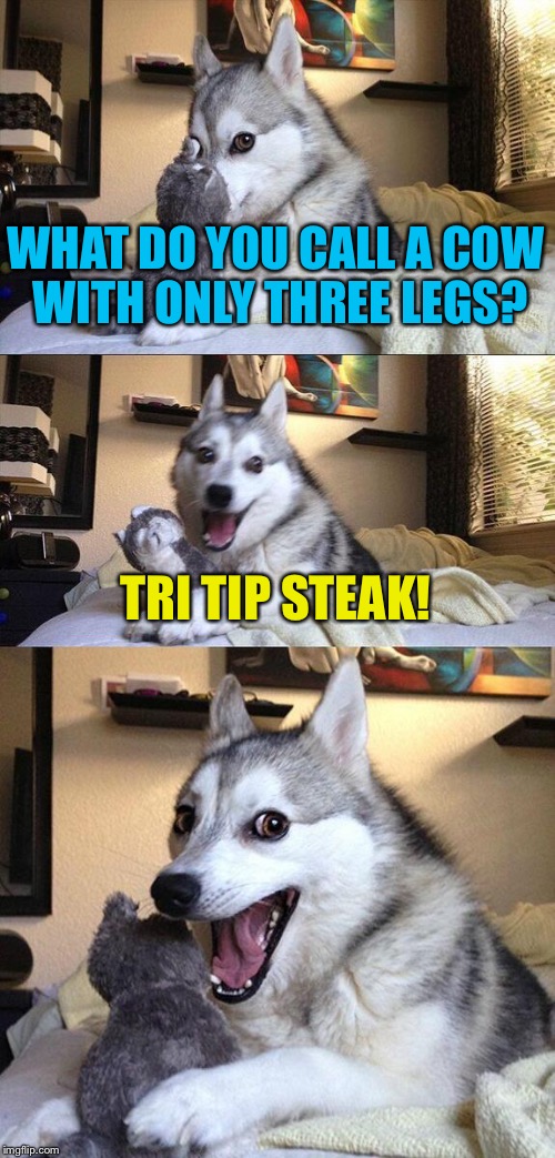 Bad Pun Dog big tippin' up in N.Y.C. | WHAT DO YOU CALL A COW WITH ONLY THREE LEGS? TRI TIP STEAK! | image tagged in memes,bad pun dog | made w/ Imgflip meme maker