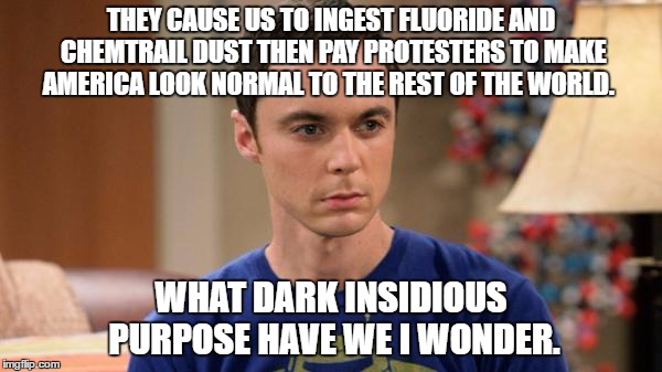 Sheldon Logic | THEY CAUSE US TO INGEST FLUORIDE AND CHEMTRAIL DUST THEN PAY PROTESTERS TO MAKE AMERICA LOOK NORMAL TO THE REST OF THE WORLD. WHAT DARK INSIDIOUS PURPOSE HAVE WE I WONDER. | image tagged in sheldon logic | made w/ Imgflip meme maker