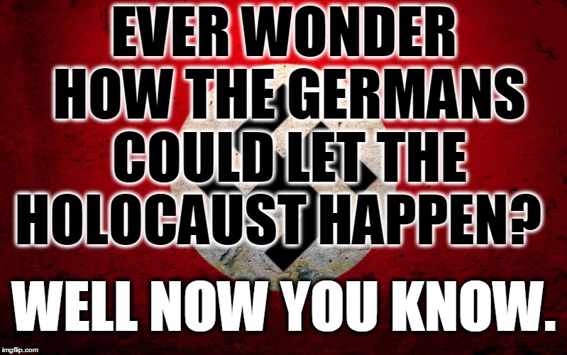 nazi flag |  EVER WONDER HOW THE GERMANS COULD LET THE HOLOCAUST HAPPEN? WELL NOW YOU KNOW. | image tagged in nazi flag | made w/ Imgflip meme maker