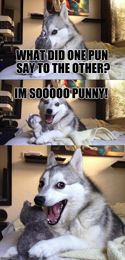 Bad Pun Dog | WHAT DID ONE PUN SAY TO THE OTHER? IM SOOOOO PUNNY! | image tagged in memes,bad pun dog | made w/ Imgflip meme maker
