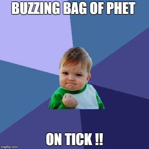 Success Kid | BUZZING BAG OF PHET; ON TICK !! | image tagged in memes,success kid | made w/ Imgflip meme maker