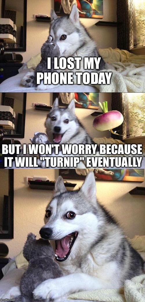 Bad Pun Dog | I LOST MY PHONE TODAY; BUT I WON'T WORRY BECAUSE IT WILL "TURNIP" EVENTUALLY | image tagged in memes,bad pun dog | made w/ Imgflip meme maker