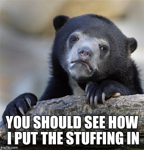 Confession Bear Meme | YOU SHOULD SEE HOW I PUT THE STUFFING IN | image tagged in memes,confession bear | made w/ Imgflip meme maker