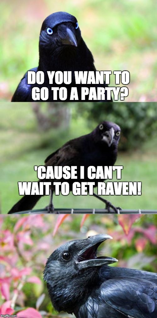 bad pun crow | DO YOU WANT TO GO TO A PARTY? 'CAUSE I CAN'T WAIT TO GET RAVEN! | image tagged in bad pun crow | made w/ Imgflip meme maker