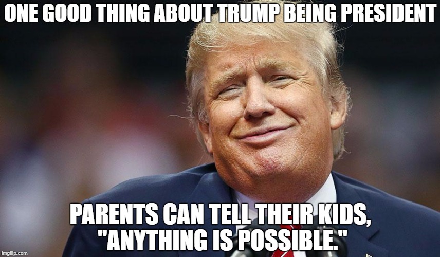 ONE GOOD THING ABOUT TRUMP BEING PRESIDENT; PARENTS CAN TELL THEIR KIDS, "ANYTHING IS POSSIBLE." | image tagged in mr trump | made w/ Imgflip meme maker