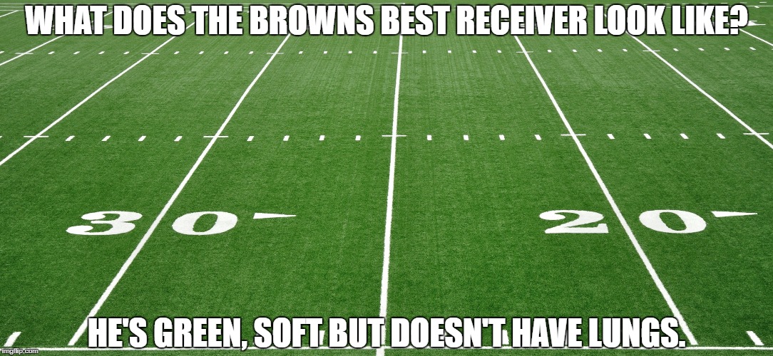 browns best receiver | WHAT DOES THE BROWNS BEST RECEIVER LOOK LIKE? HE'S GREEN, SOFT BUT DOESN'T HAVE LUNGS. | image tagged in browns best receiver | made w/ Imgflip meme maker