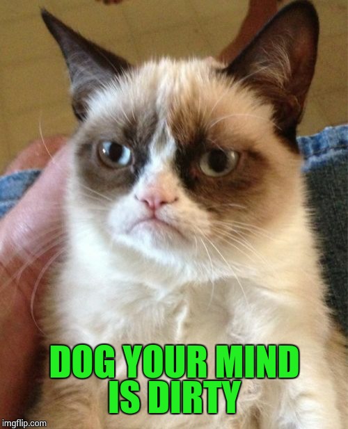 Grumpy Cat Meme | DOG YOUR MIND IS DIRTY | image tagged in memes,grumpy cat | made w/ Imgflip meme maker