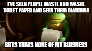 Sir Froggy | I'VE SEEN PEOPLE WASTE AND WASTE TOILET PAPER AND SEEN THEIR DIARRHEA; BUTS THATS NONE OF MY BUISNESS | image tagged in frog,bathroom | made w/ Imgflip meme maker