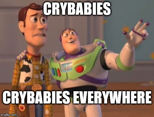 X, X Everywhere Meme | CRYBABIES; CRYBABIES EVERYWHERE | image tagged in memes,x x everywhere | made w/ Imgflip meme maker