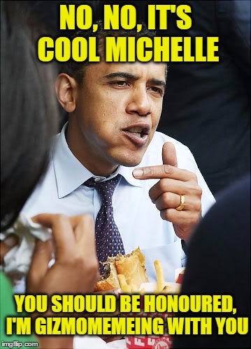 NO, NO, IT'S COOL MICHELLE YOU SHOULD BE HONOURED, I'M GIZMOMEMEING WITH YOU | made w/ Imgflip meme maker