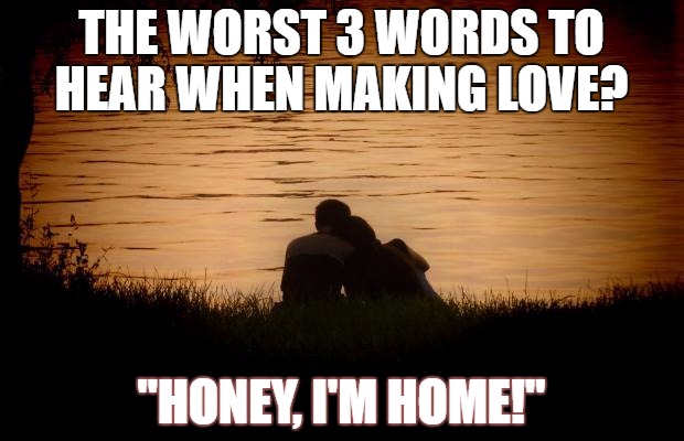 Love | THE WORST 3 WORDS TO HEAR WHEN MAKING LOVE? "HONEY, I'M HOME!" | image tagged in love | made w/ Imgflip meme maker
