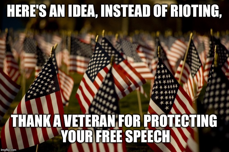 Thank a veteran for Free speech  | HERE'S AN IDEA, INSTEAD OF RIOTING, THANK A VETERAN FOR PROTECTING YOUR FREE SPEECH | image tagged in veterans day,free speech | made w/ Imgflip meme maker
