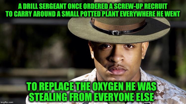 Genius | A DRILL SERGEANT ONCE ORDERED A SCREW-UP RECRUIT TO CARRY AROUND A SMALL POTTED PLANT EVERYWHERE HE WENT; TO REPLACE THE OXYGEN HE WAS STEALING FROM EVERYONE ELSE | image tagged in veterans day,memes | made w/ Imgflip meme maker