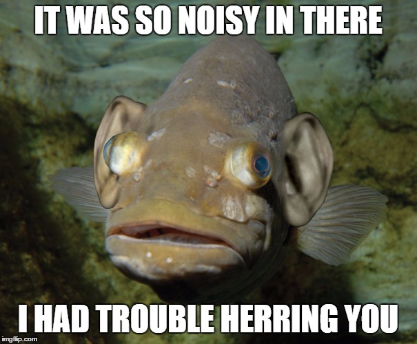 IT WAS SO NOISY IN THERE I HAD TROUBLE HERRING YOU | made w/ Imgflip meme maker