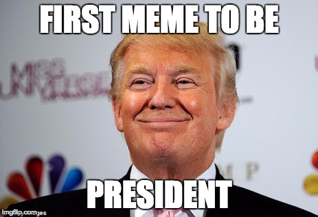 Donald trump approves | FIRST MEME TO BE; PRESIDENT | image tagged in donald trump approves | made w/ Imgflip meme maker
